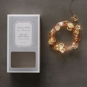 PB Monique Lhuillier Heart Confetti Lights 5' long NLA NEW